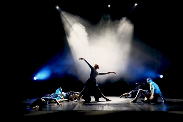 © Vincent Nicolas Photography